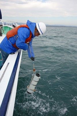 Japanische und internationale Meeresexperten nahmen immer wieder Wasserproben aus dem Umfeld der Anlage Foto eines Mannes, der Wasser für eine Wasserprobe aus dem Meer entnimmt